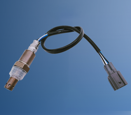 Oxygen sensor gaskets